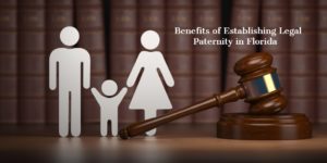 Family Law Attorney Tampa Fl