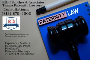 paternity attorneys tampa florida