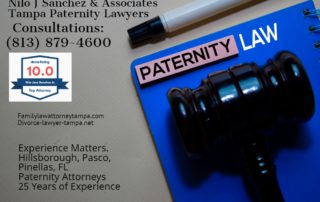 paternity attorneys tampa florida