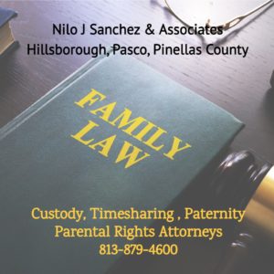 tampa child custody attorneys
