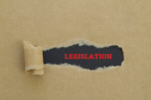 Family Law Attorneys Tampa Florida